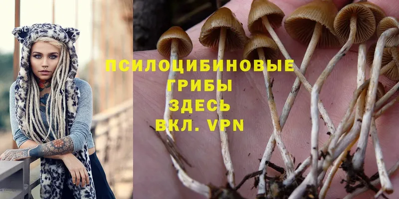 кракен рабочий сайт  Анадырь  Псилоцибиновые грибы MAGIC MUSHROOMS 